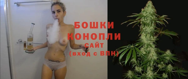 дурь Болотное