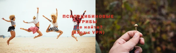 дурь Болотное