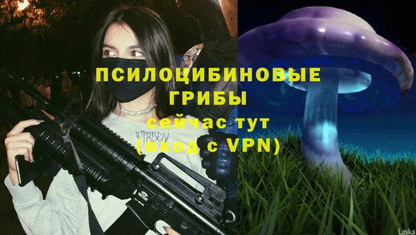 СК Болохово