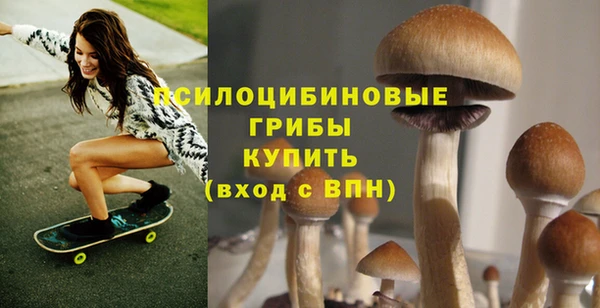 герыч Болхов