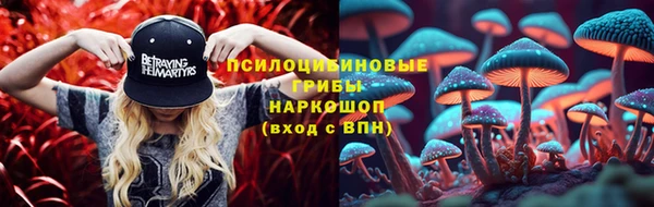 дурь Болотное