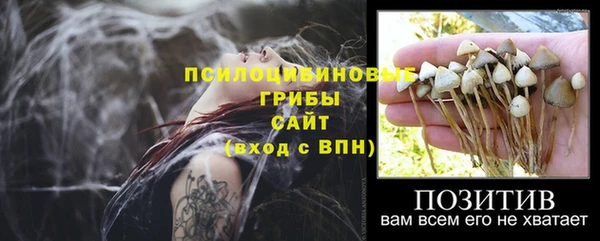 герыч Болхов