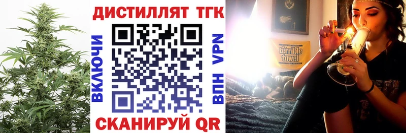 как найти   Камызяк  ТГК концентрат 