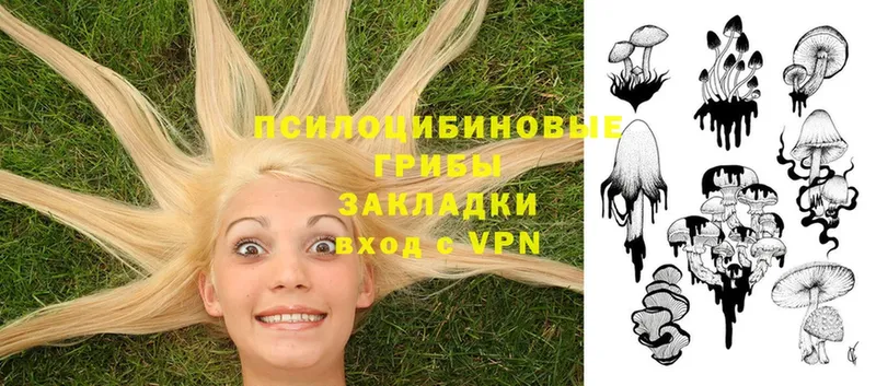 наркота  omg зеркало  Псилоцибиновые грибы Psilocybe  Камызяк 